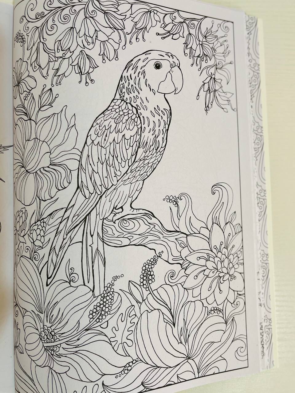 تیانوسی ڕەنگکردن